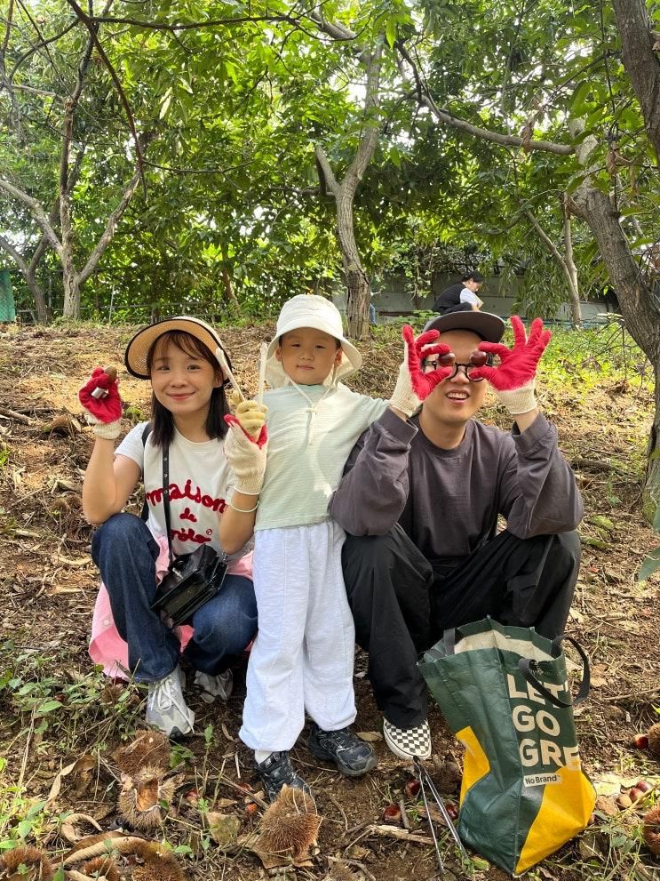 시흥 계수밤농장 아이랑 밤따기 체험 준비물 꿀팁 추천