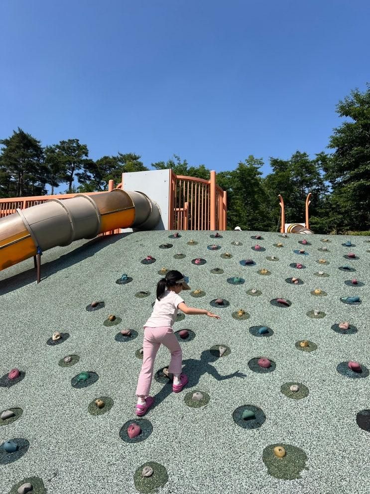 서울 근교, 남양주 다산 아이랑 가볼만 한 곳 - 다산중앙공원