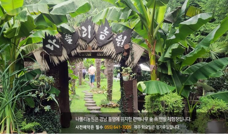 통영 가볼만한 곳 통영 맨발 힐링 여행 나폴리농원 맨발걷기 체험 후기