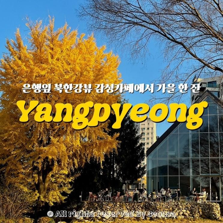 양평 양수리 카페 추천 ㅣ 은행나무로 물든 가을 감성 가득한 곳