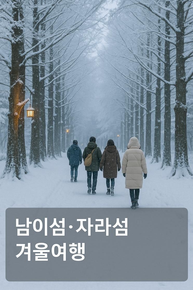 남이섬·자라섬 겨울여행, 눈 내린 강가 산책과 가평 카페까지 한 번에