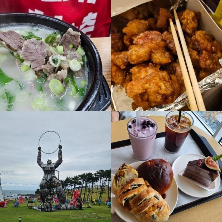 25년 10월 3주차 일상(울산 1박2일 호캉스-서생 웨이브온호텔, 서생카페 AOP, 말차과자, 현풍설곰탕, 러닝, 동물의숲 닌텐도)