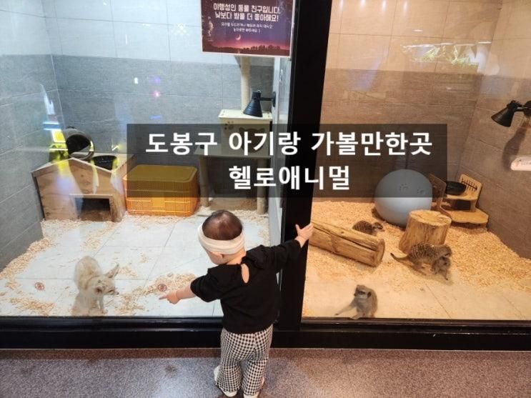 도봉구 아기랑 가볼만한곳 헬로애니멀 실내미니동물원에서 먹이주기