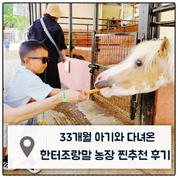 [ 한터조랑말농장 ] 용인 아이랑 체험 찐추천 : 입장료 바베큐 주차