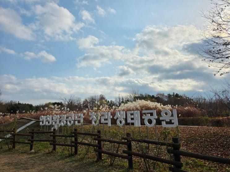 [인천환경공단 청라생태공원] 실내온실과 멋진 산책로, 아이들이 좋아하는 야외 놀이터