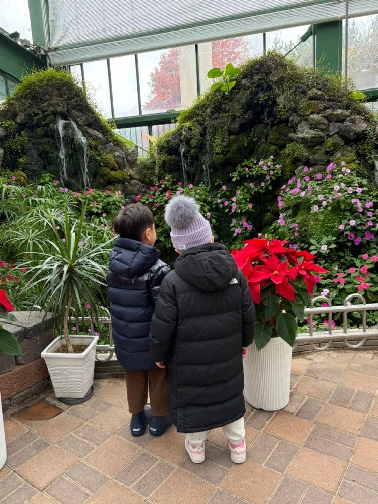🌿🍃지역사회 연계활동 🍃🌿