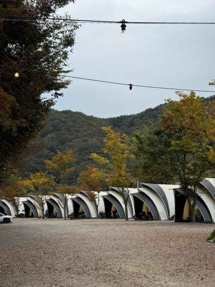 춘천 캠핑 숲속에머물다, 카라반으로 떠난 오토캠핑