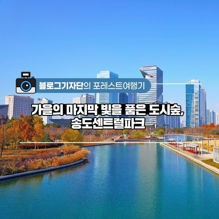<#포레스트여행기> 가을의 마지막 빛을 품은 도시숲, 송도센트럴파크