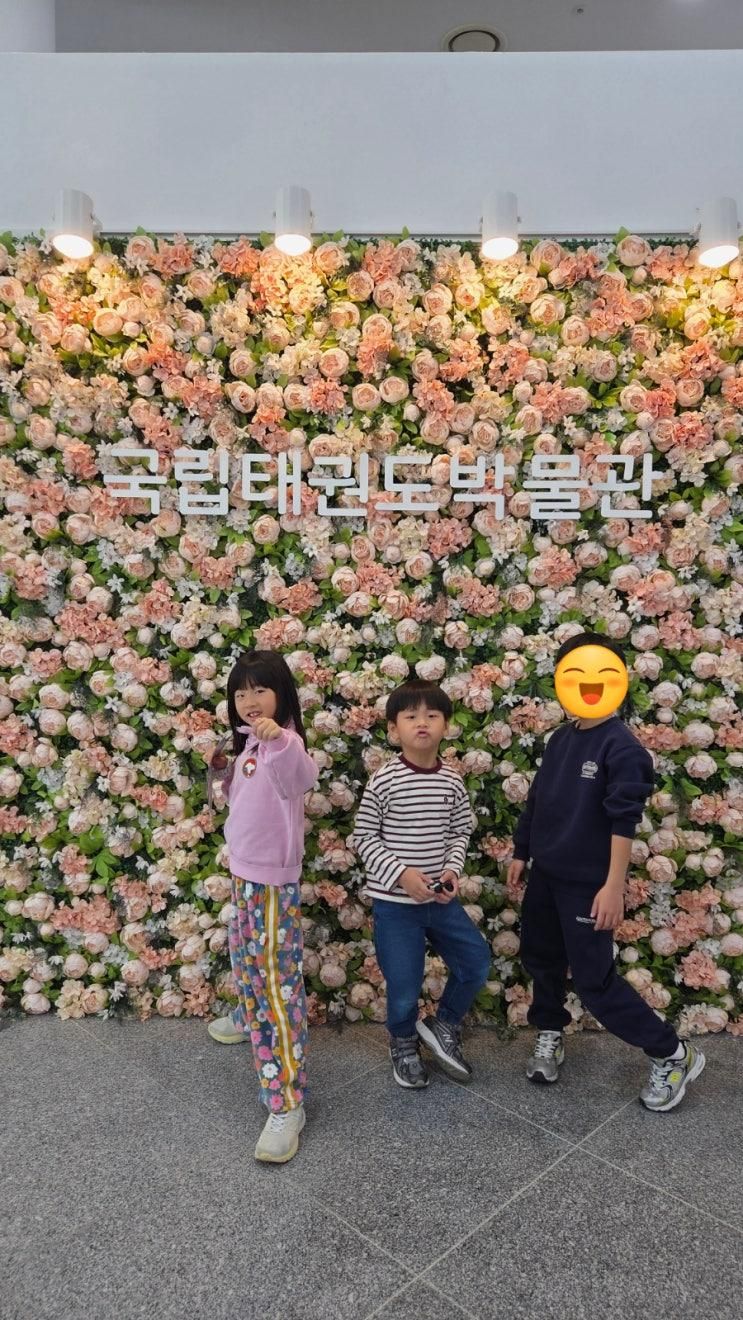 무주 여행 무주 태권도원 태권도 박물관부터 태권도 시범 공연까지