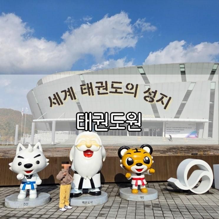아이랑 무주여행_태권도원_모노레일