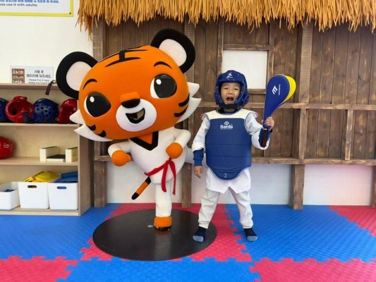 무주 태권도원 / 전북 무주 아이랑 가 볼 만한 곳 / 태권도 무료공연 국립태권도박물관 모노레일 전망대