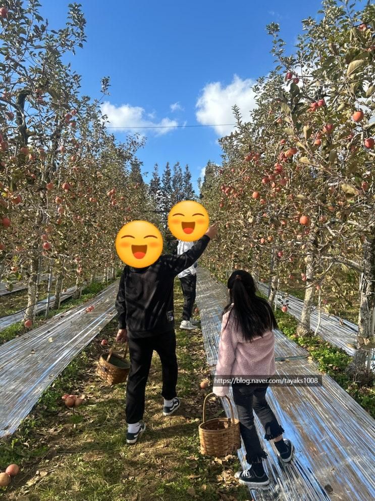 예산 아이와가볼만한곳 은성농원 내돈내산 체험후기