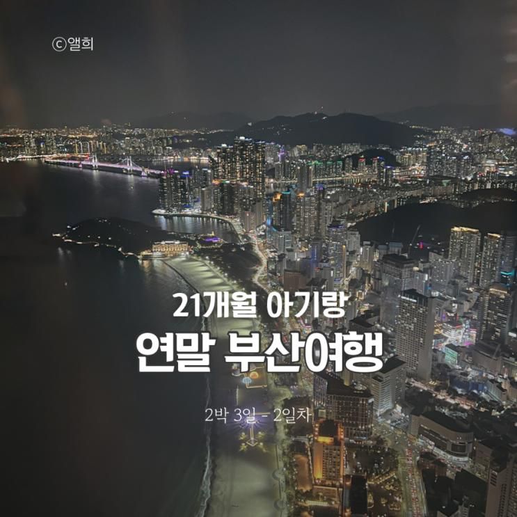 21개월 아기랑 연말 부산여행 2박 3일 2일차 코스 일정 계획