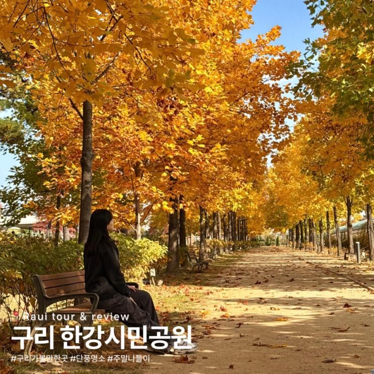 구리 한강시민공원 가을 단풍 가족 주말나들이 추천 가볼만한곳