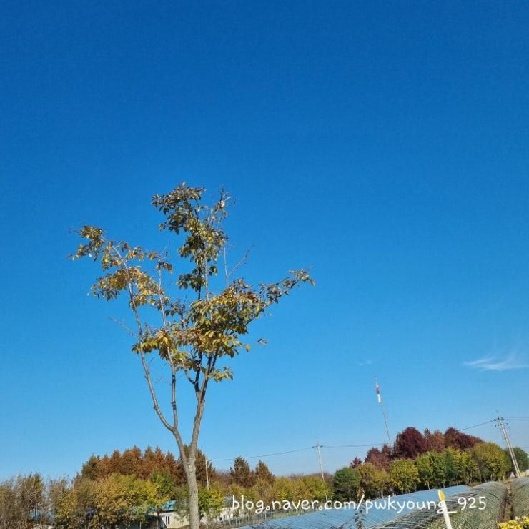 구리한강시민공원:구리공원:구리여행:구리가볼만한곳:구리식당추천