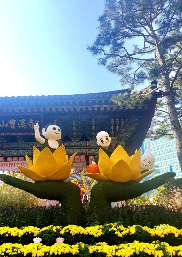 가을축제추천: 조계사 국화화엄축제