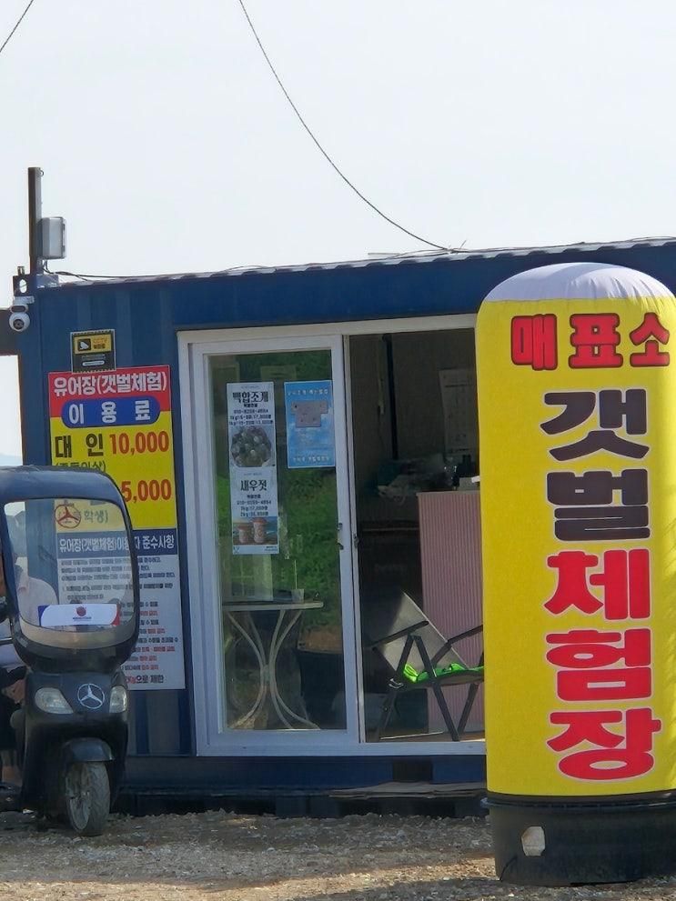 [ 강화 석모루 ] 민머루해수욕장 민머루갯벌체험장