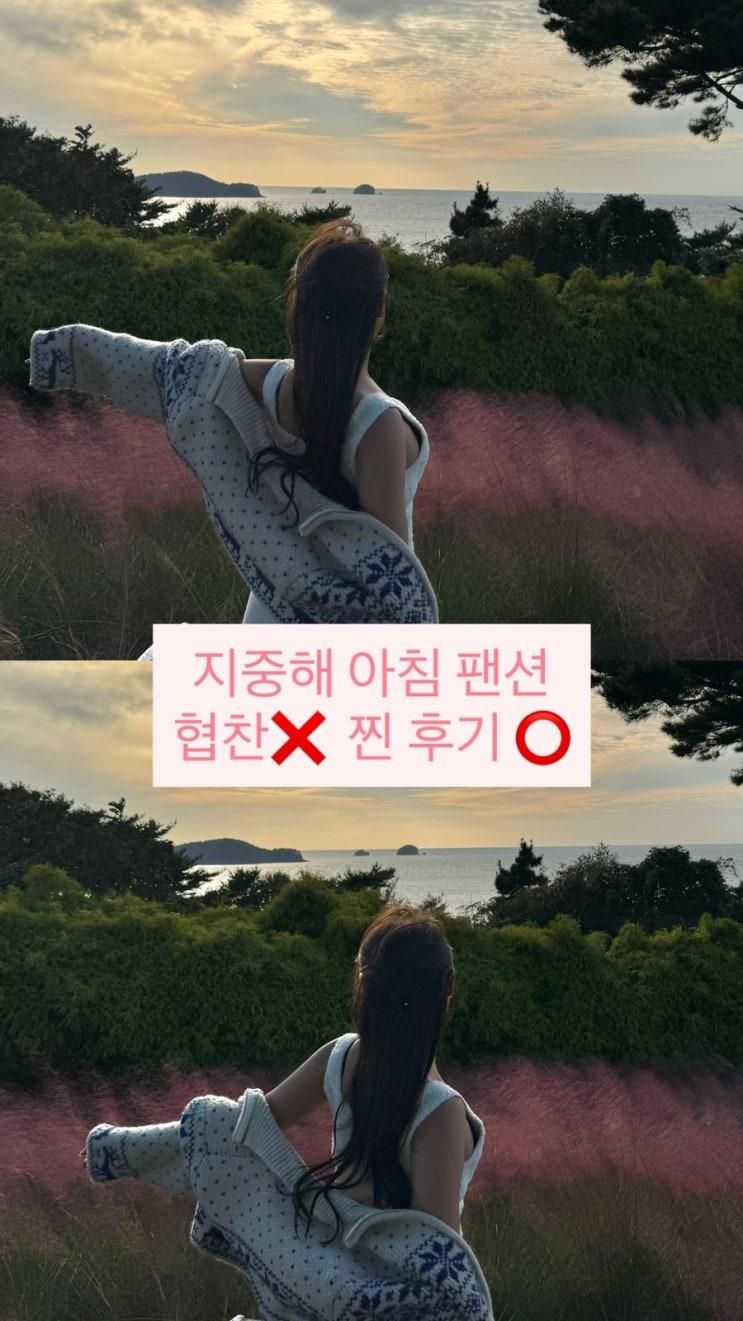 태안 안면도 여행 숙소 추천 핑크뮬리, 수영장, 개별바베큐 지중해아침펜션 그리스 룸 후기