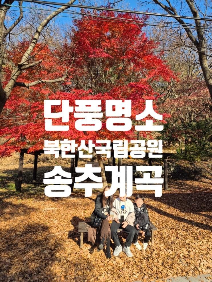 단풍명소 송추계곡 북한산국립공원 가을나들이 추천