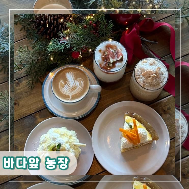 [인천︱중구] 영종도 구읍뱃터 크리스마스 포토존 있고 분위기 좋은 감성 카페 바다앞 농장 후기