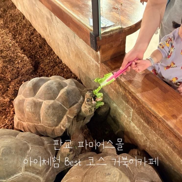 판교 파미어스몰 아이랑 갈만한 거북이 카페 방문 31개월 아기와 실내 놀이터