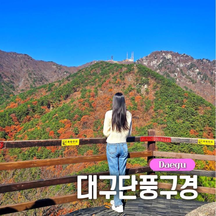 대구 단풍 명소 팔공산 케이블카 예약 할인 운영시간