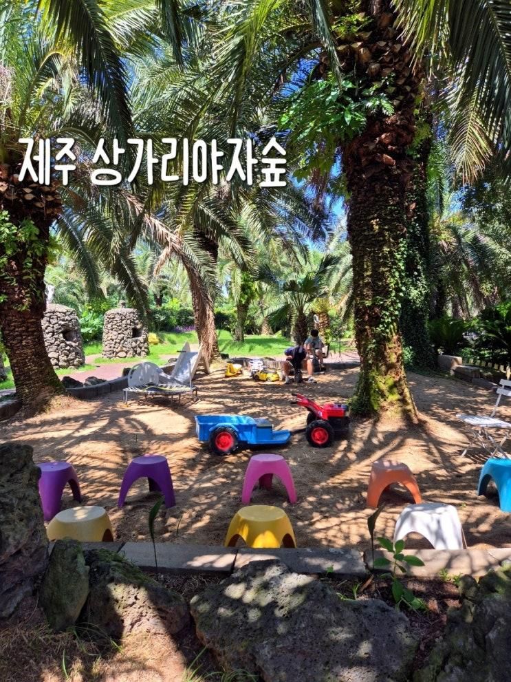 제주 야자숲 제주투어패스 사용 가능 상가리야자숲 사진 맛집