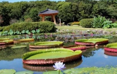함양 상림공원   천년 숲길을 따라 걷는 고요한 산책