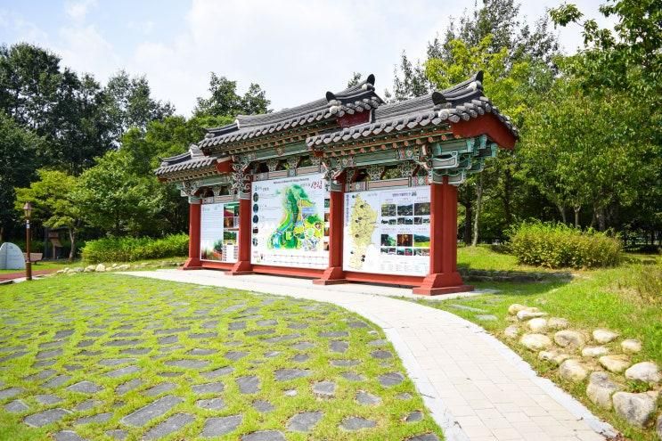 [상림공원] 우리나라에서 가장 오래된 인공림, 천년의 숲을 거닐다