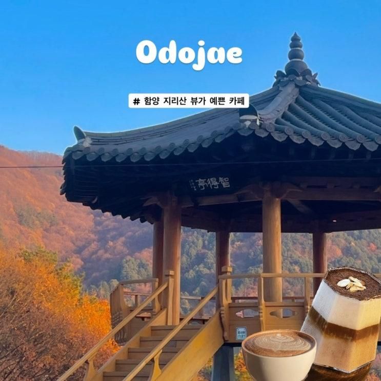 함양 “오도재 카페” 지리산과 단풍 뷰가 좋은 곳ㅣ전망대, 빵과 커피 추천, 주차