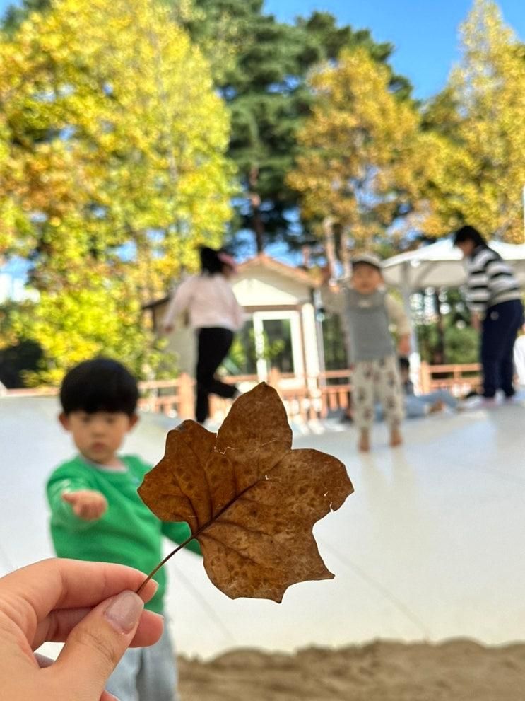 일상기록