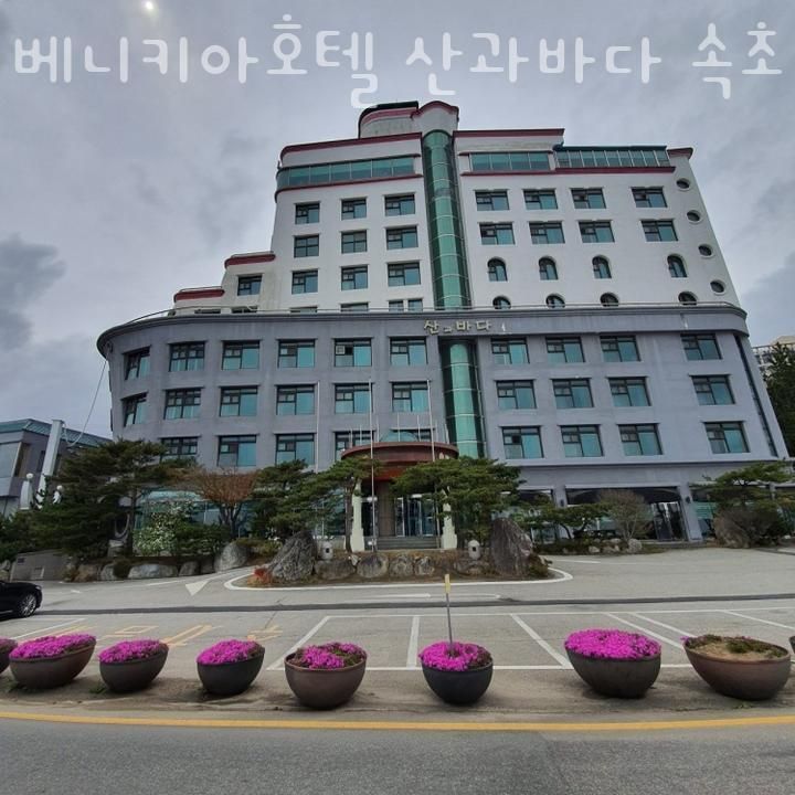 속초숙소 베니키아호텔 산과바다 속초  속초여행숙소 편리한 위치의 가성비 숙소