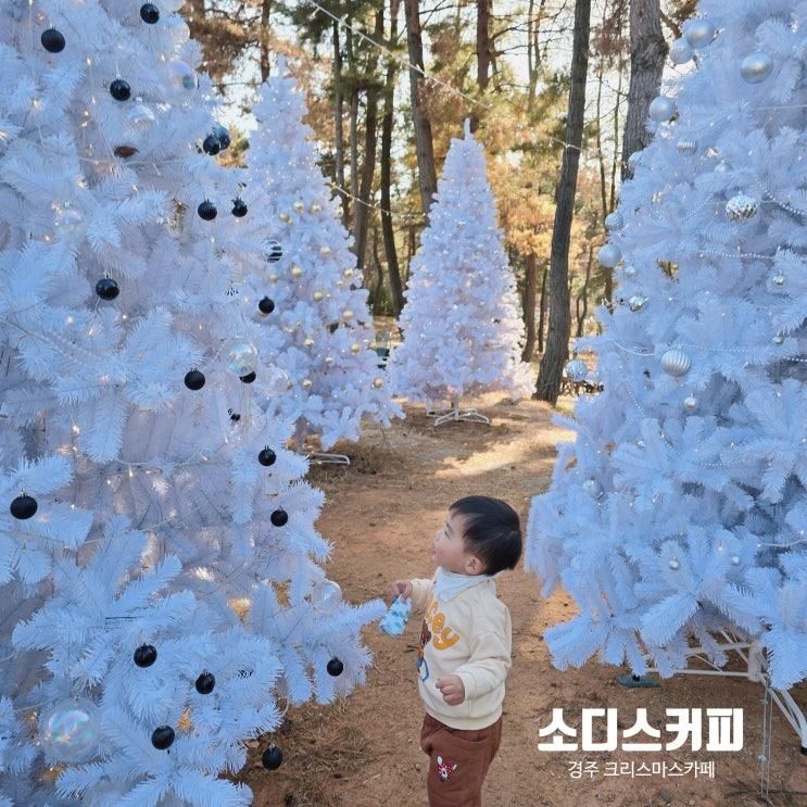 경주 크리스마스 카페 하얀 트리있는 눈 내리는 카페 소디스커피
