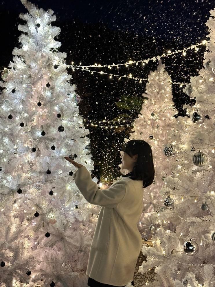 경주 눈내리는 카페 소디스커피 본점 크리스마스 트리 아이랑 대형카페
