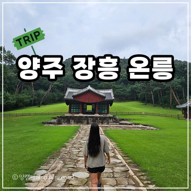 장흥 가볼만한 곳, 양주 온릉 무료 산책길 후기