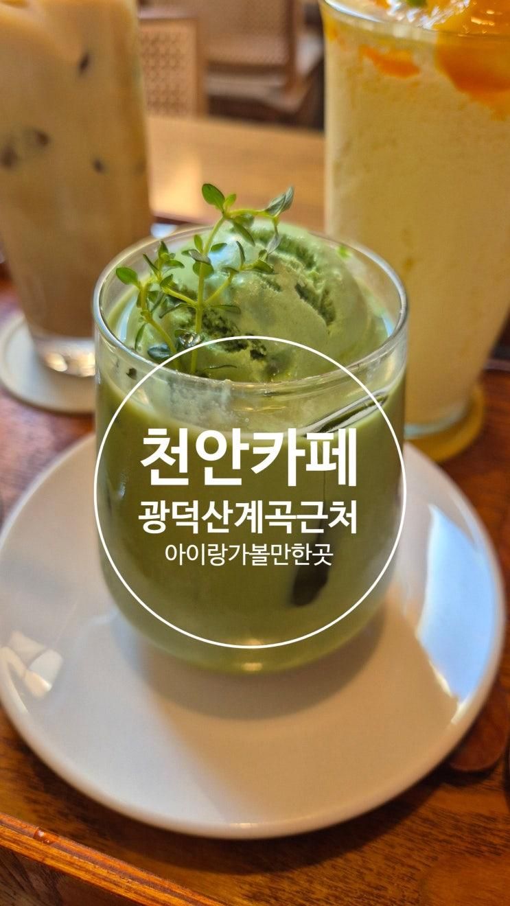 천안광덕산카페 아이랑가볼만한카페 추천 "화진담" 방문후기