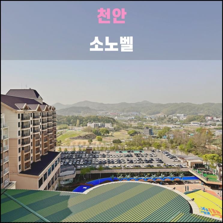 천안 소노벨(2024.04): 쌀국수 맛집