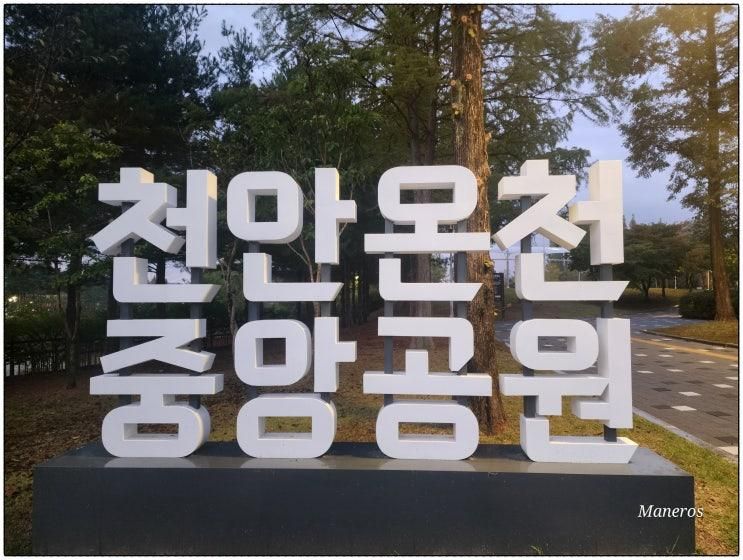 소노벨천안 근처 가볼만한곳 천안온천중앙공원 산책 코스 추천!