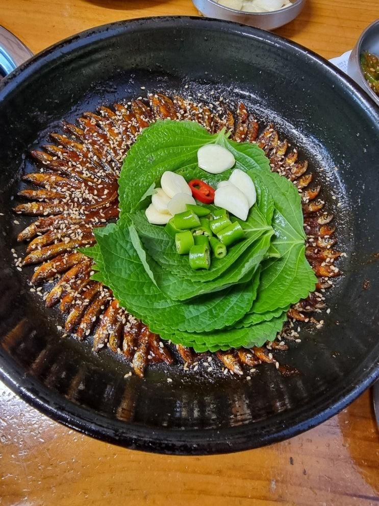 연천 댑싸리공원 · 청산어죽 · 지혜의숲 · 말똥도넛 방문 후기