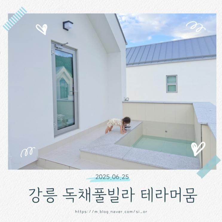 강릉 아기랑 숙소 자쿠지 독채풀빌라 테라머뭄