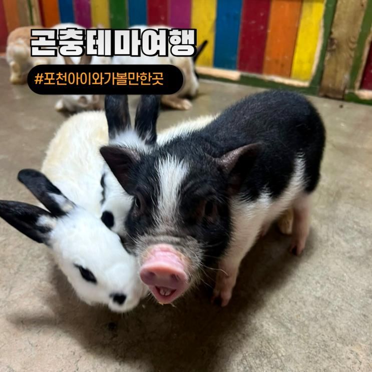 서울근교 동물체험 아이와 실내 동물원 포천 곤충테마여행