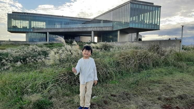 제주도 가족여행 섭지코지 카트 이용기·플로이스트 카페 뷰맛집