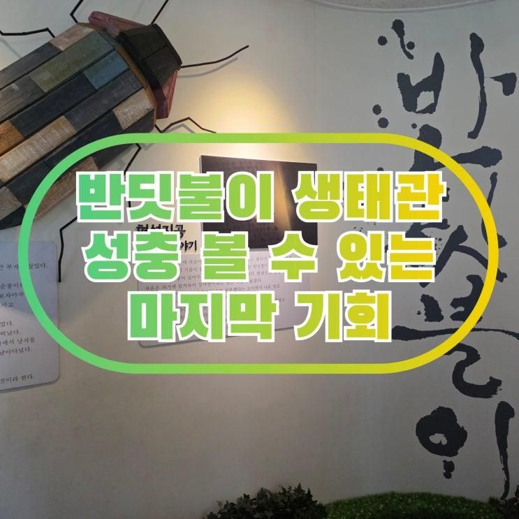서울 아이랑 가기 좋은 곳 무료 체험관 반딧불이 생태관 성충 관찰