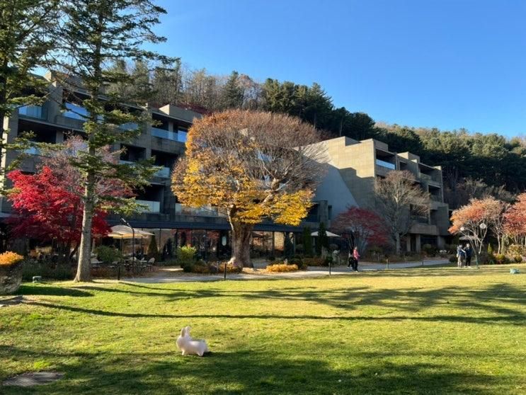 29개월 아기와 함께 갈 곳 | 가평 아난티코드에서 브런치 | 가평여행 코스 2
