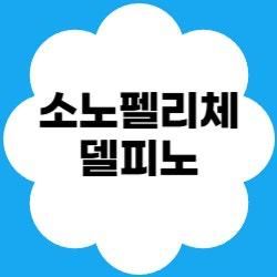 강원도 고성 소노펠리체 델피노🌊, 패키지 · 오션플레이 · 온천 · 사우나 · 조식 · 맛집&카페 총정리!