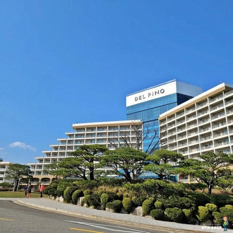 소노펠리체 델피노 강원도 고성 숙소 골드스위트 오션플레이 카페 더엠브로시아