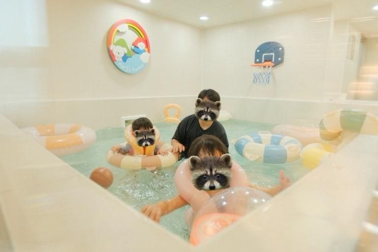 [내돈내산] 메리스포레스트 마포창전숲점, 프라이빗 키즈풀 오전 대관 후기👙🤿