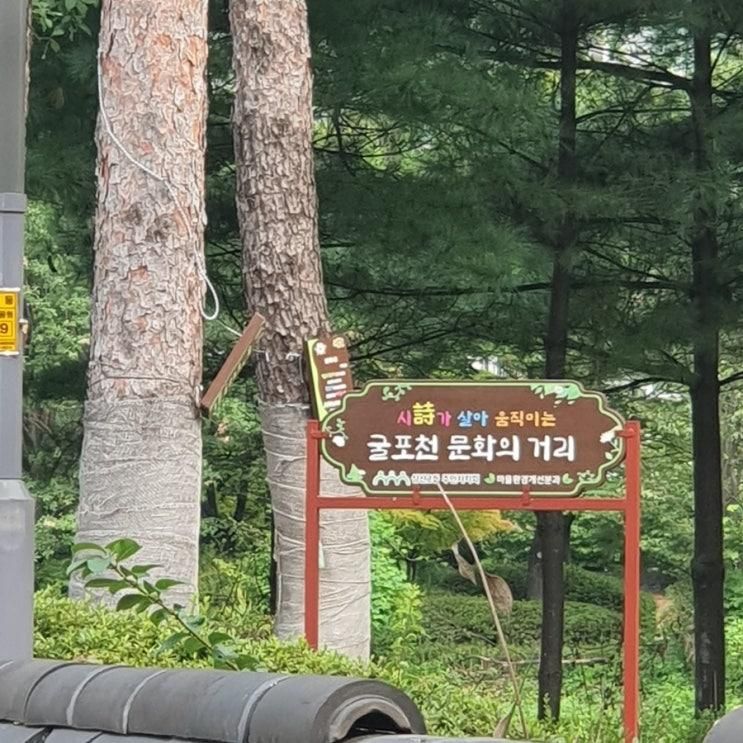 박물관 공원 둘레길 산책 다녀왔어요