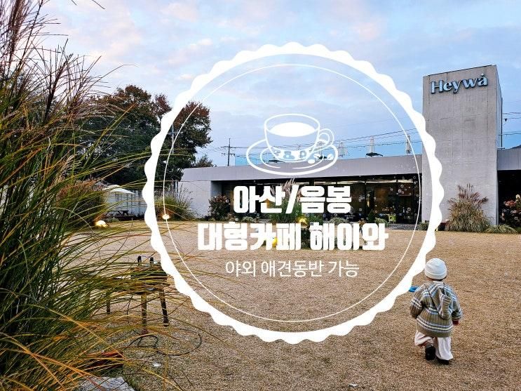 [아산/음봉] 대형카페 해이와｜야외마당·아기·가족·애견동반까지 가능한 곳