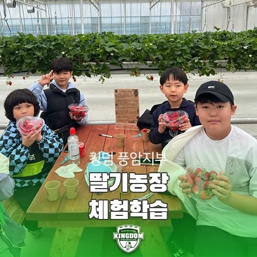 킹덤 주짓수 풍암 딸기 농장 체험학습